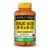 FOLIC ACID B 6 and B 12 TABLETS 90 tablets